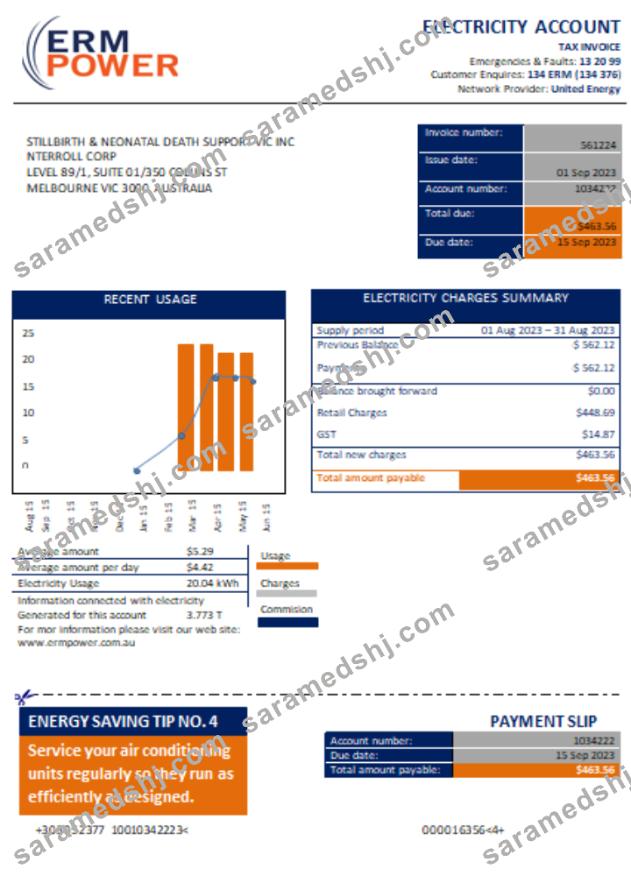 ERM Power electricity proof of address utility business bill, SCR